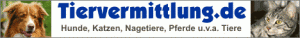 Tiervermittlung 300x38